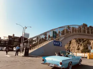 アロハピクニックvol.14