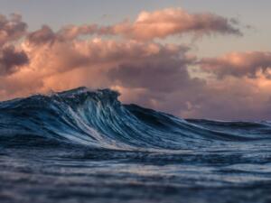 湘南ビーチクリーン2026春