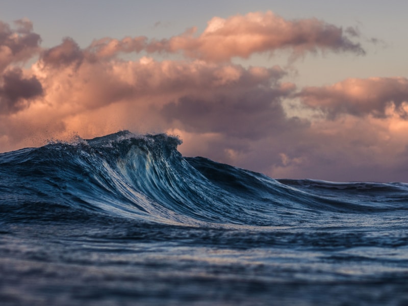 湘南ビーチクリーン2026春