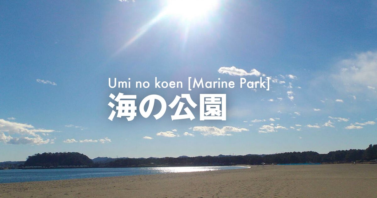海の公園 ビーチフリーマーケット